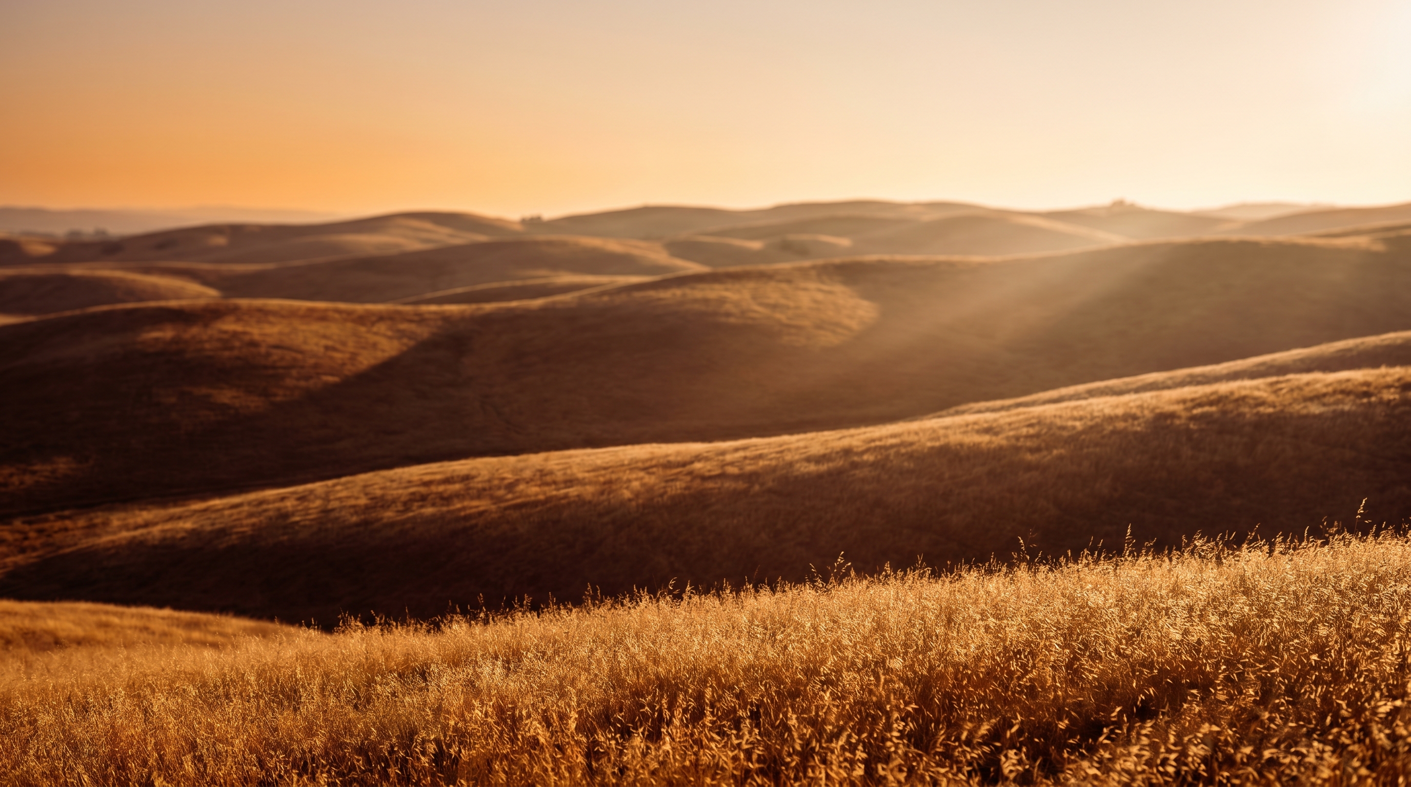 Golden rolling hills at sunset — warm amber light